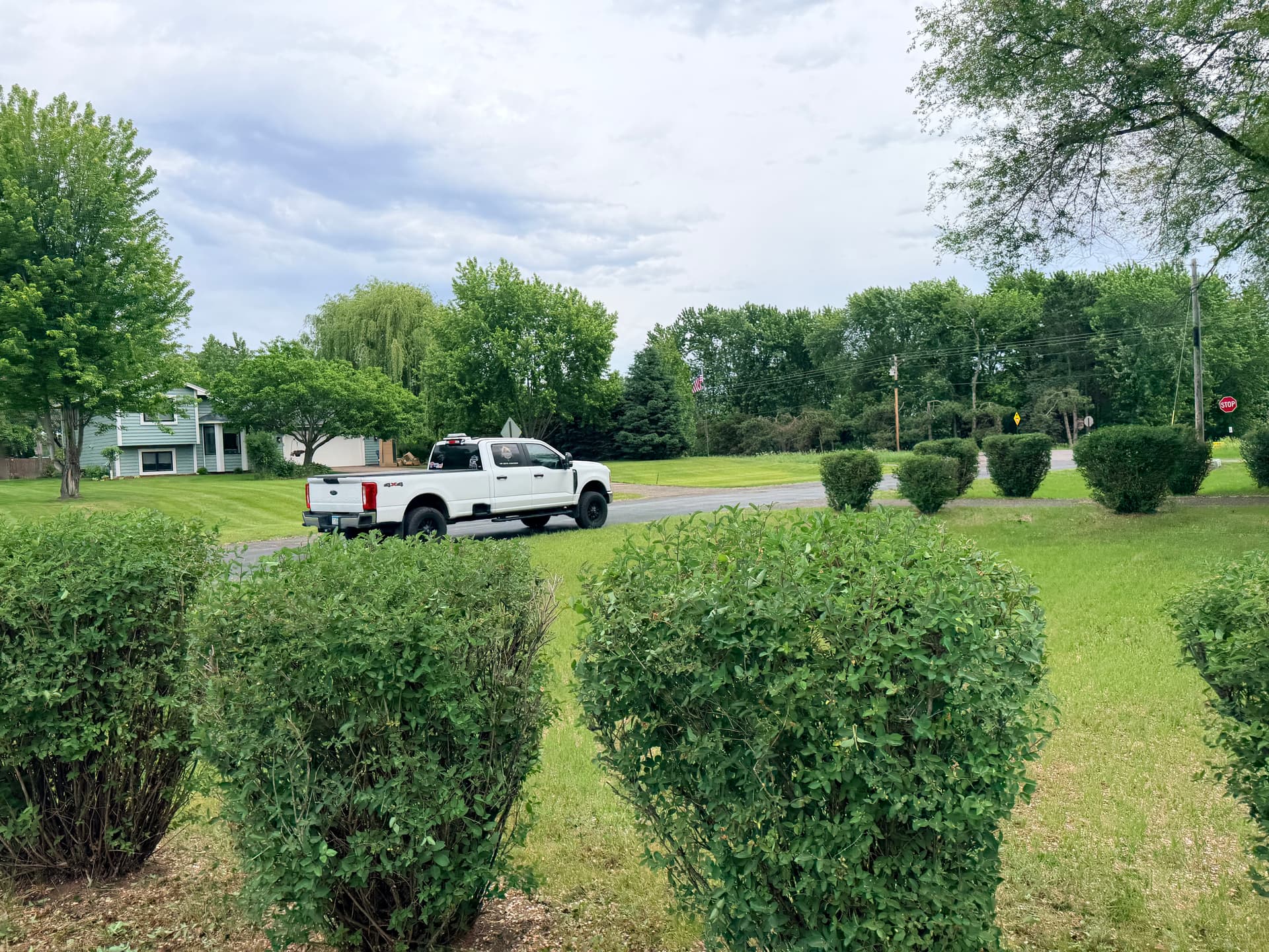 Gallery photos for Shrub Trimming That Makes Your Front Yard Look Sharp Again: Image #3