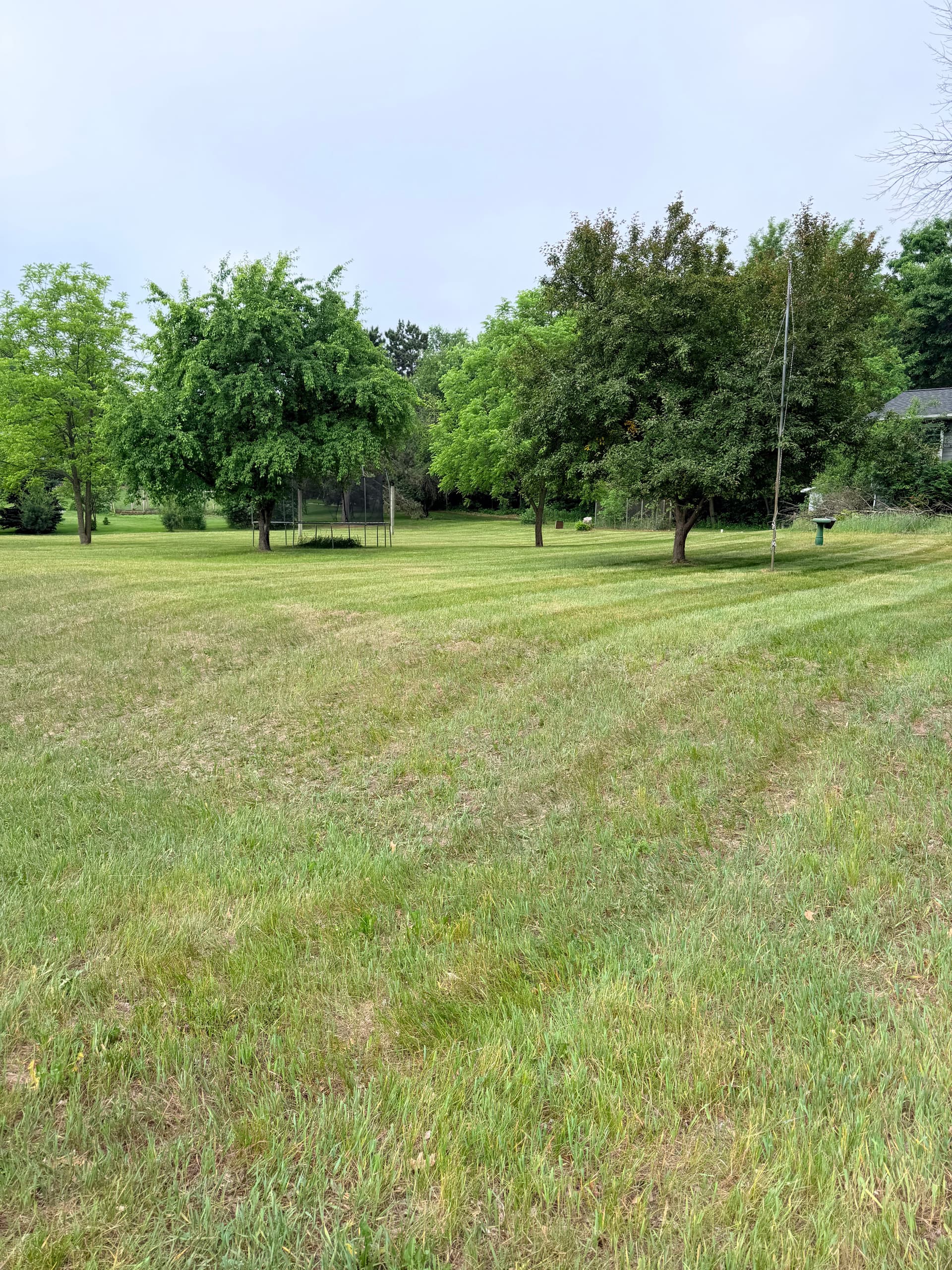 Gallery photos for Overgrown Yard Knocked Down and Cleaned Up Right: Image #5