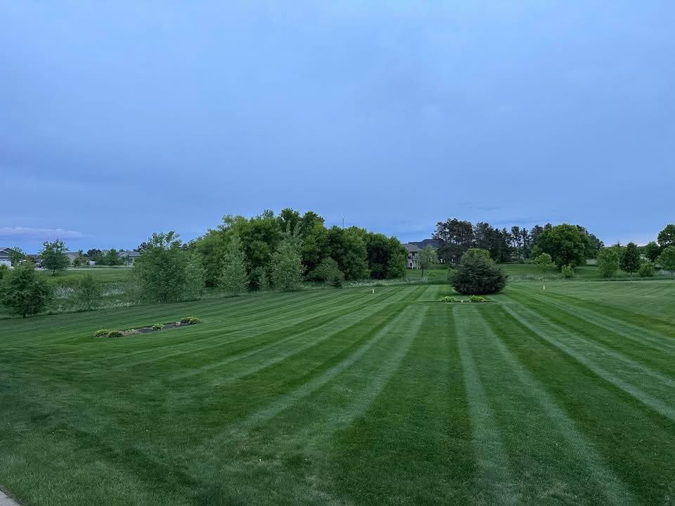 Lush green lawn with neatly striped grass and landscaped garden under a blue sky.