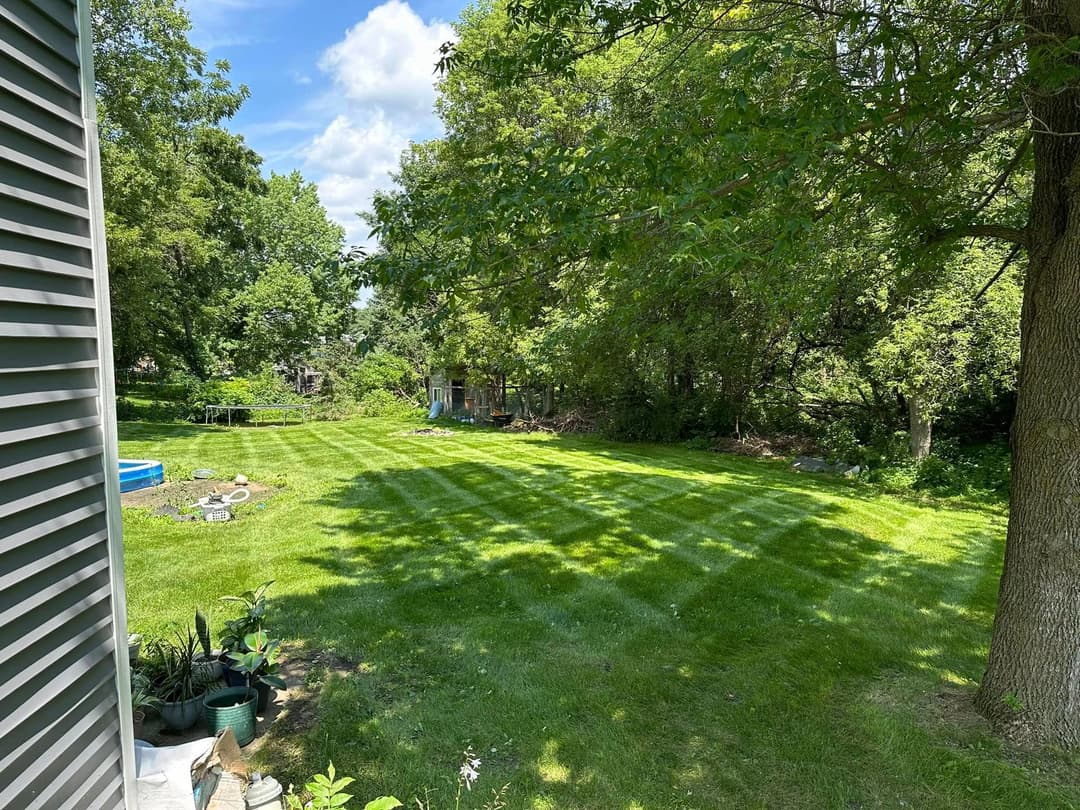 Lush green backyard with shaded trees and clear blue sky, perfect for outdoor activities.