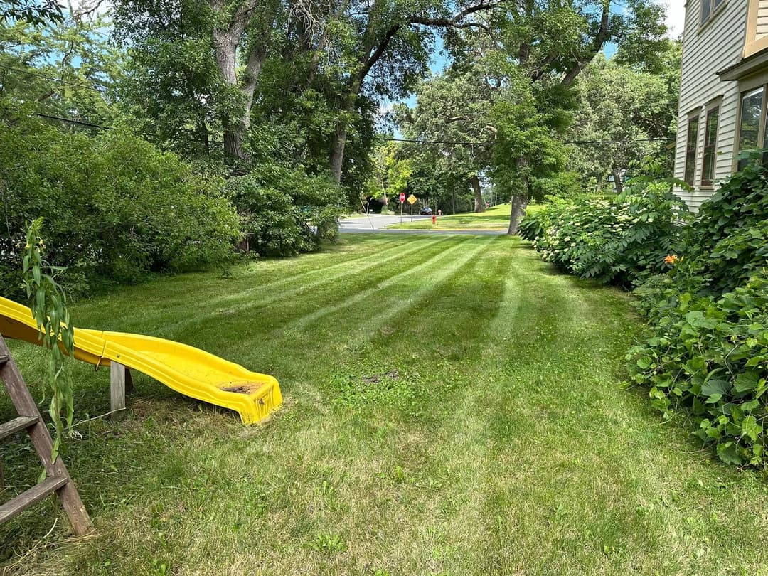 Yellow slide on a manicured lawn surrounded by trees and shrubs, leading to a street.