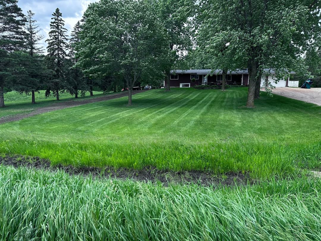Lush green lawn with trees and a house in the background on a sunny day.