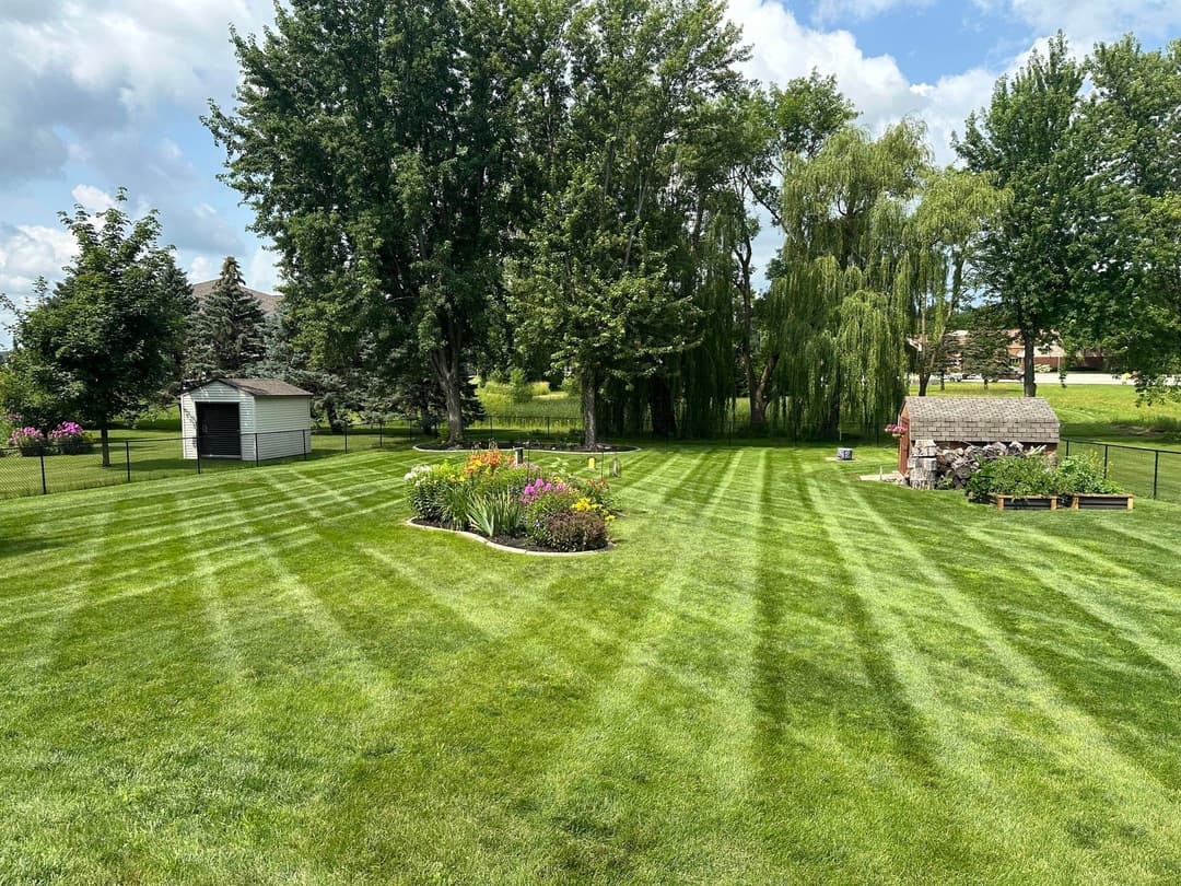 Lush green lawn with striped grass, flower garden, shed, and trees under a blue sky.