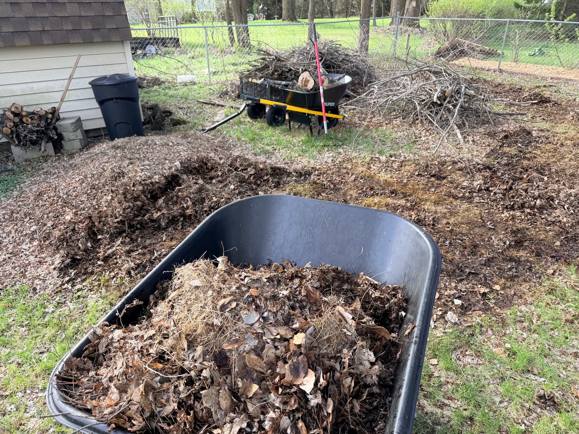 Gallery photos for Heavy Yard Debris Cleanup That Actually Gets It All: Image #1