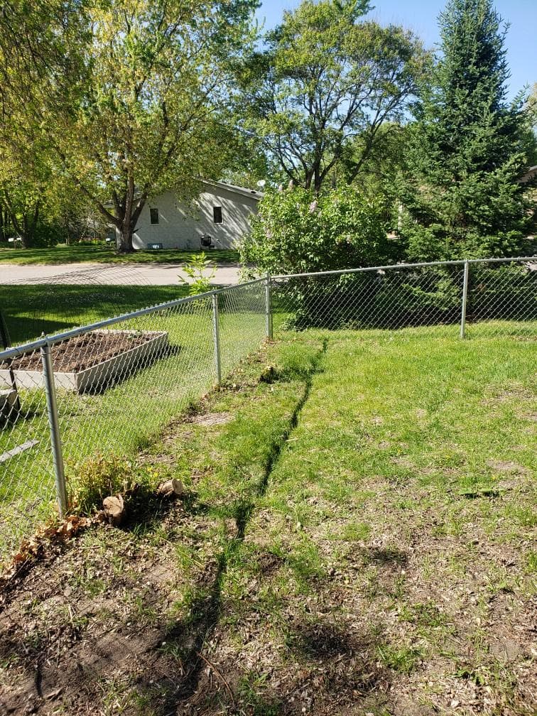 Gallery photos for Overgrown Shrubs and Problem Trees Cut Back to the Stump: Image #4
