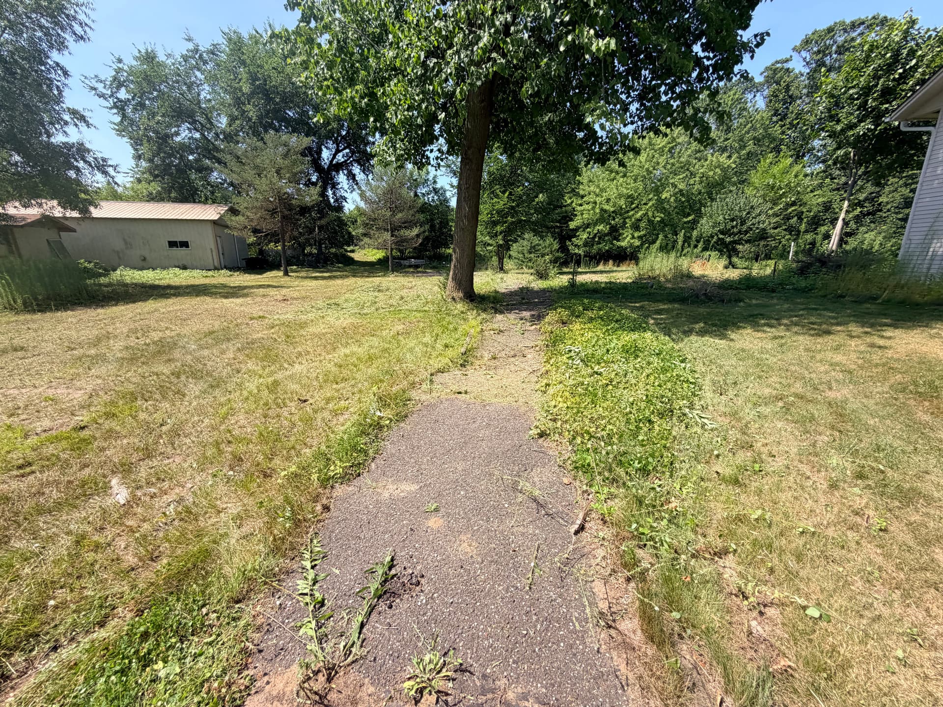 Overgrown Property Brush Cut Back to Usable Ground