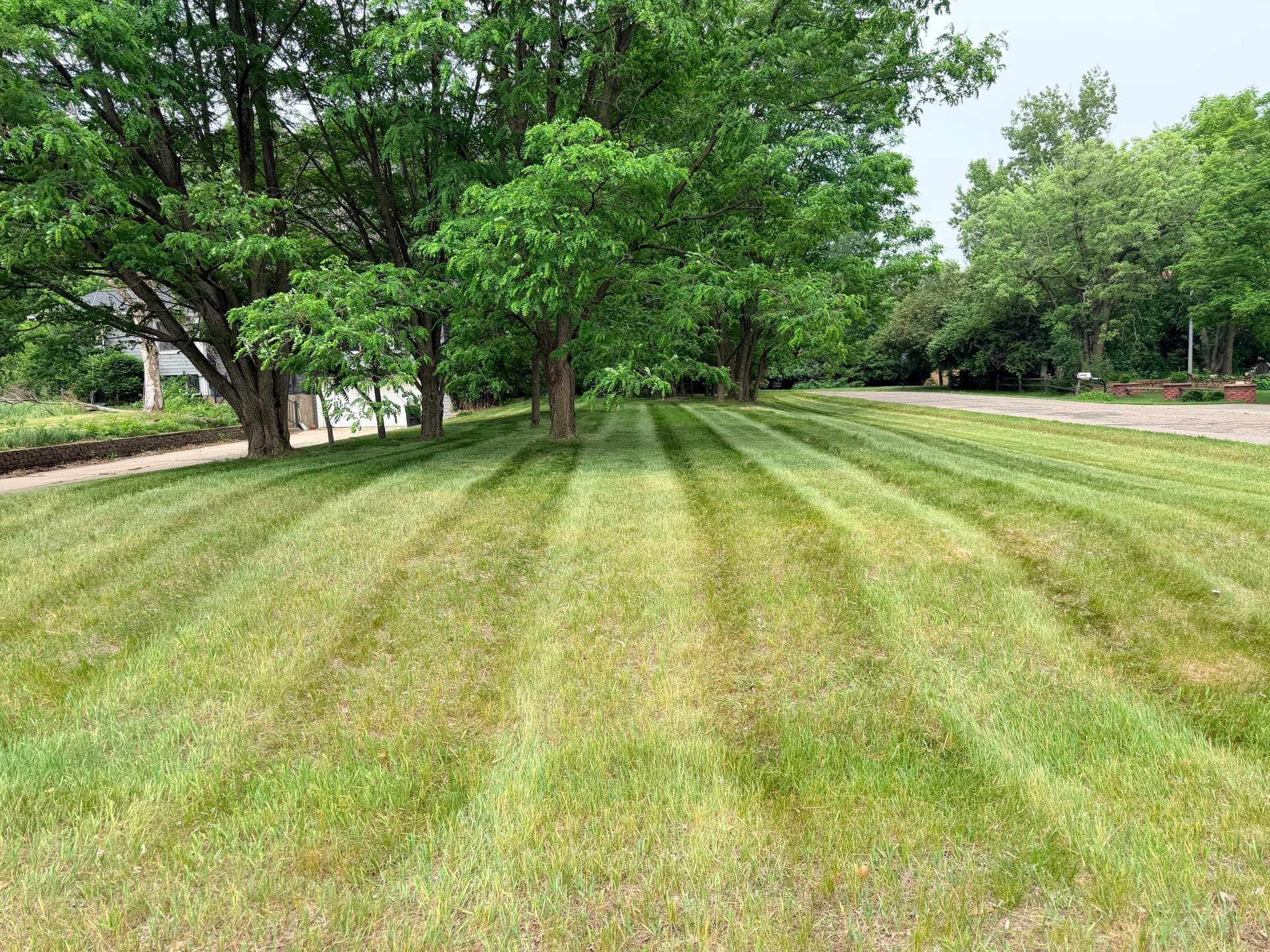 Gallery photos for Overgrown Yard Knocked Down and Cleaned Up Right: Image #8