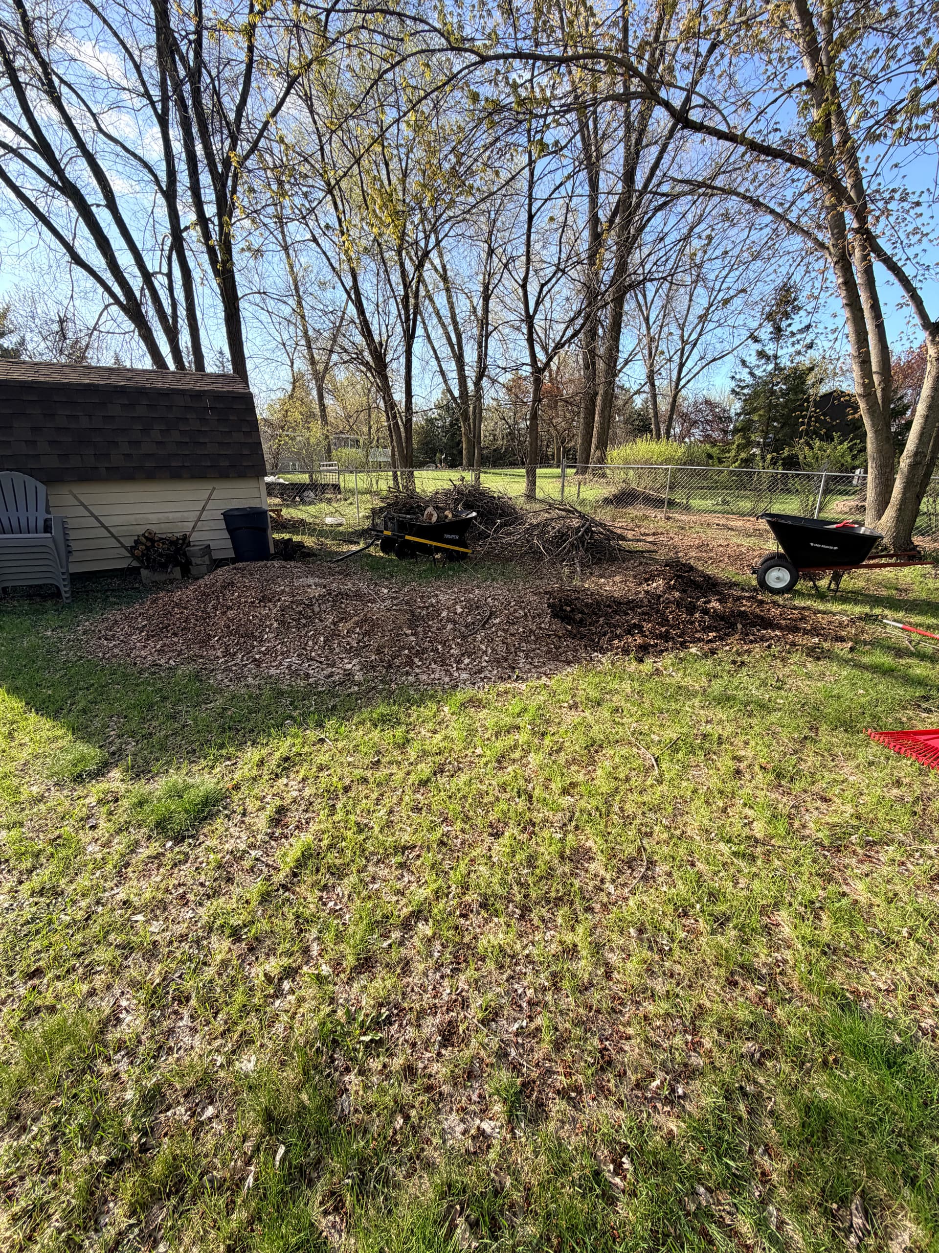 Heavy Yard Debris Cleanup That Actually Gets It All image