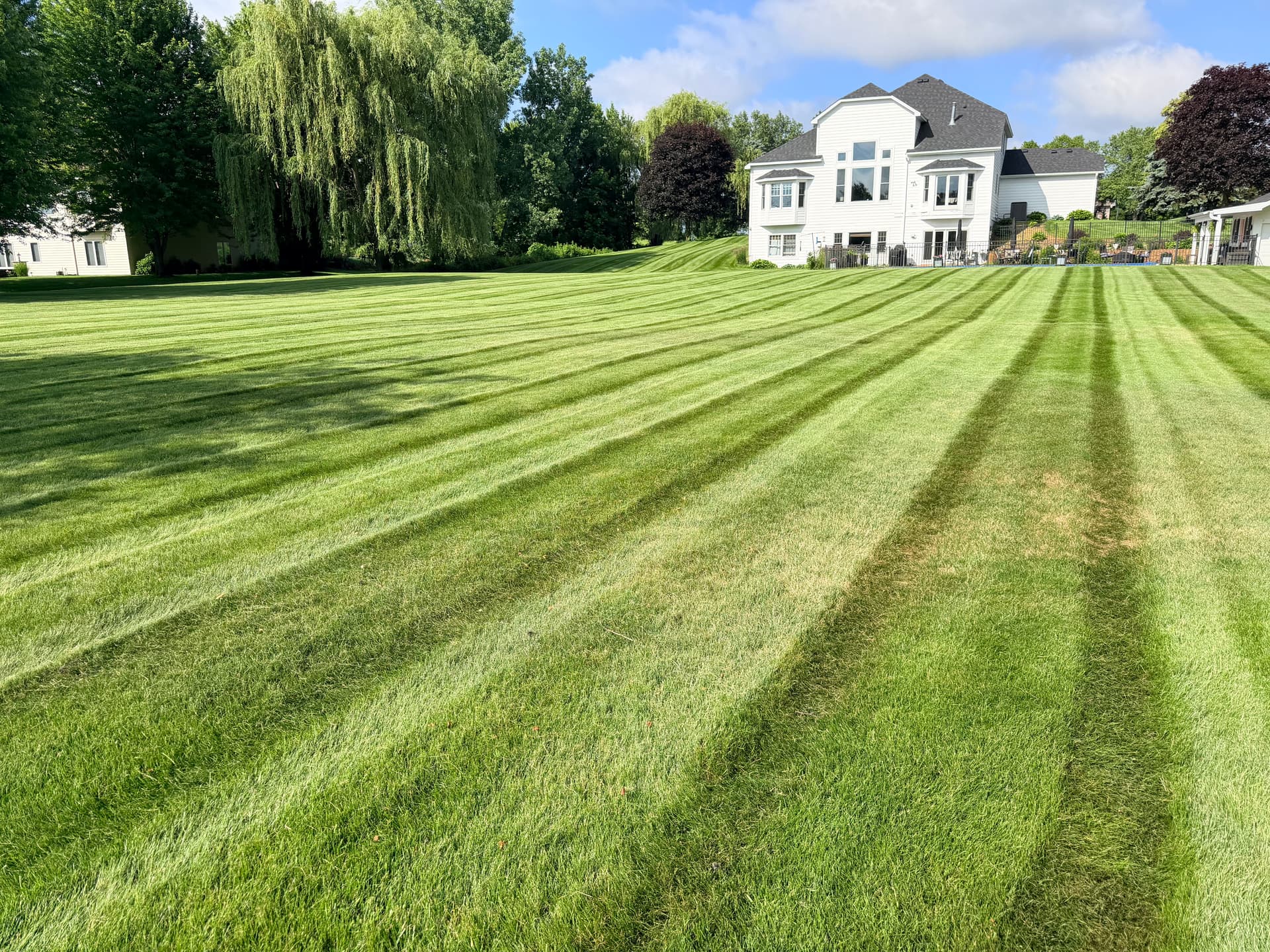 Gallery photos for When Your Mower Is Down We Keep Your Lawn Going: Image #1