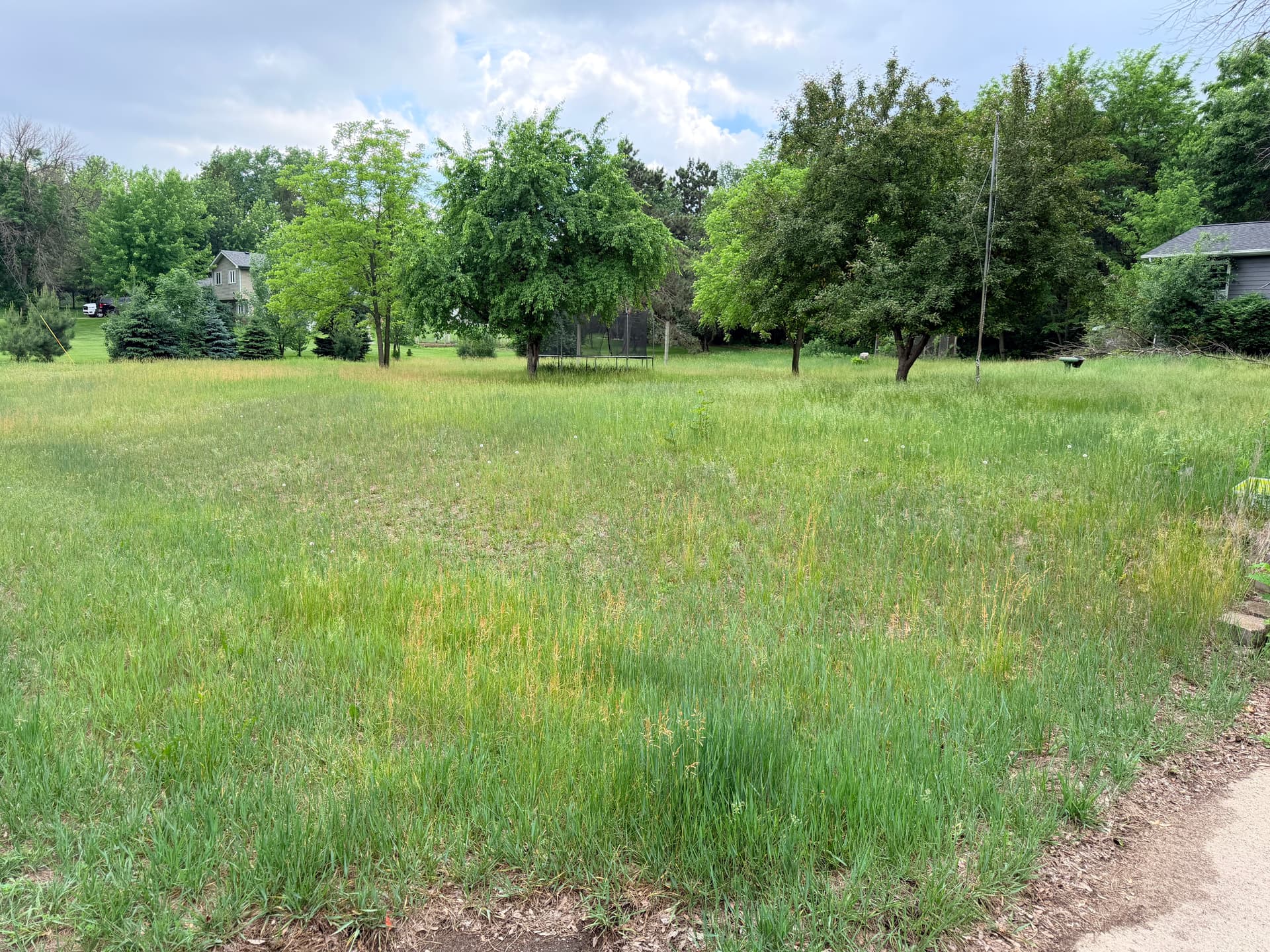 Overgrown Yard Knocked Down and Cleaned Up Right image