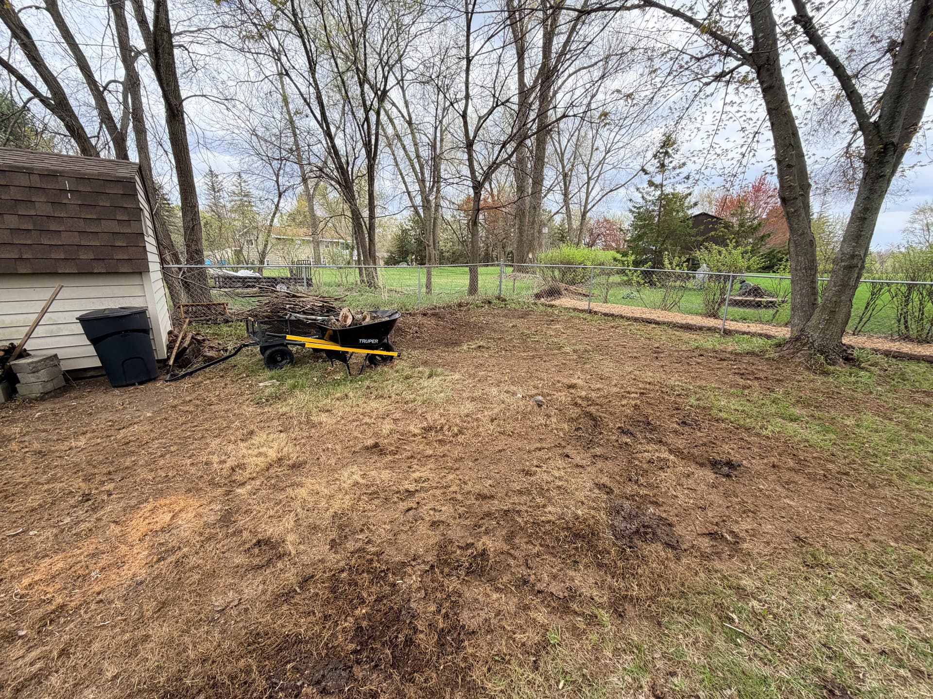 Gallery photos for Heavy Yard Debris Cleanup That Actually Gets It All: Image #2