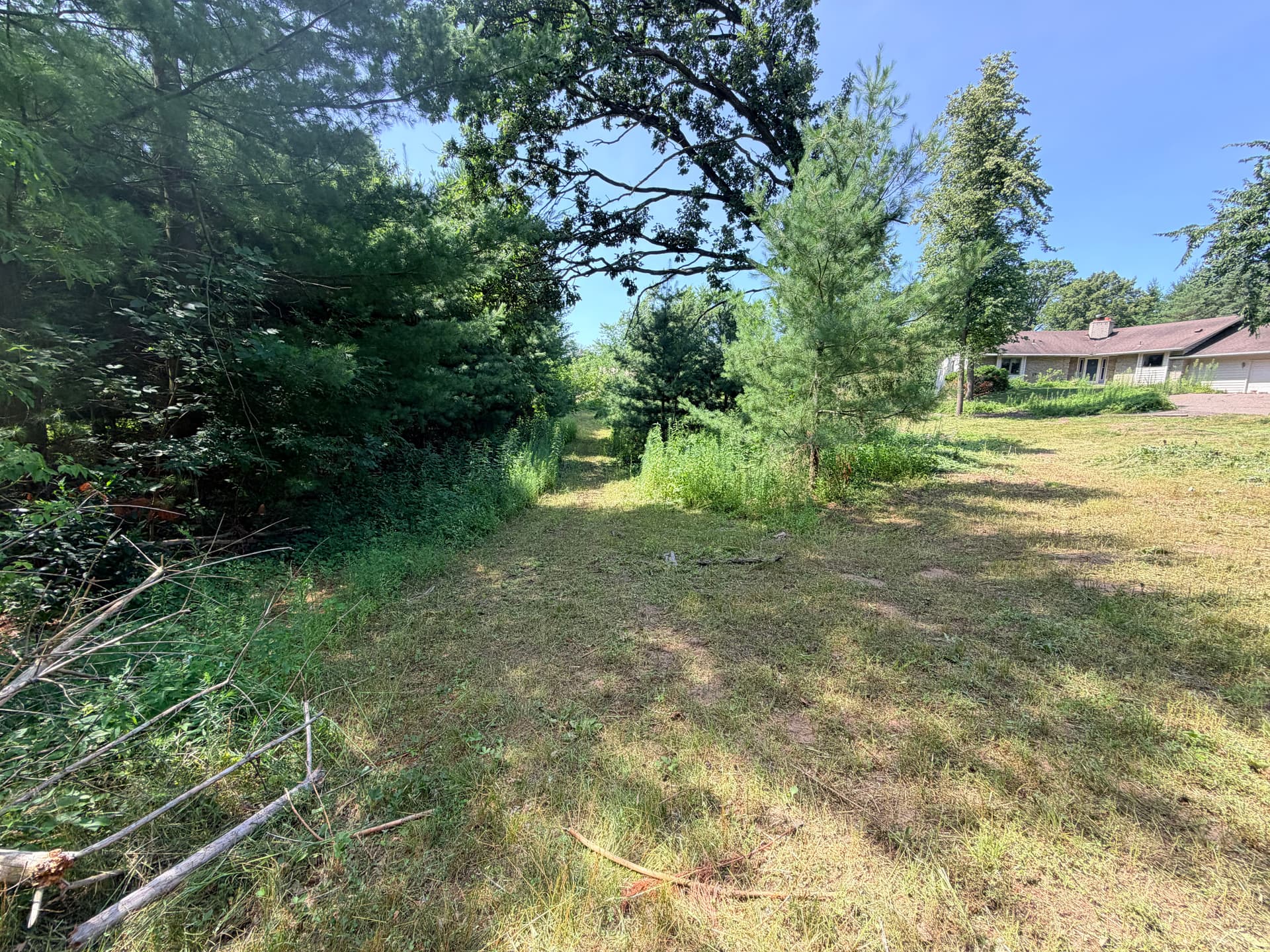 Gallery photos for Overgrown Property Brush Cut Back to Usable Ground: Image #3
